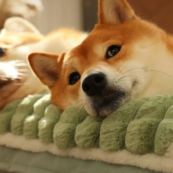 Cama Ortopedica para Mascotas