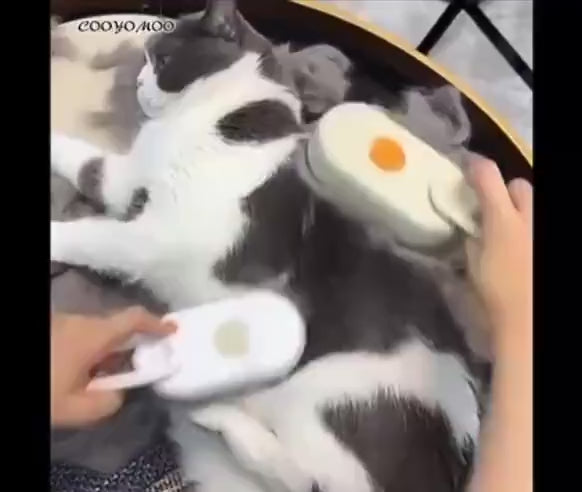 Cepillo Masajeador De Vapor Gatos Perros