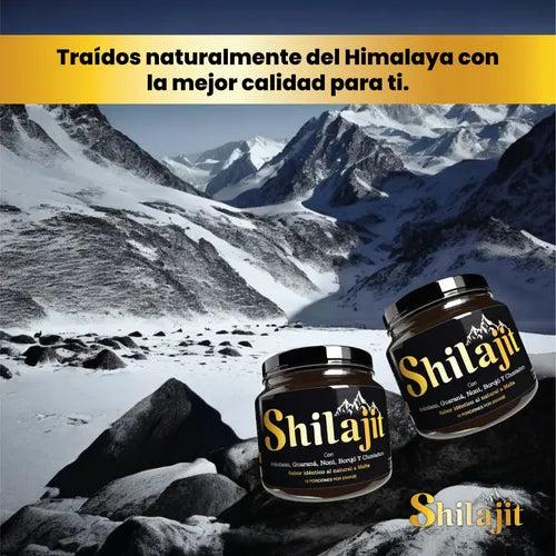 SHILAJIT JALEA - Nutrición de Calidad